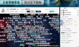 李昊天爆料者视频播放,事件背后惊人真相